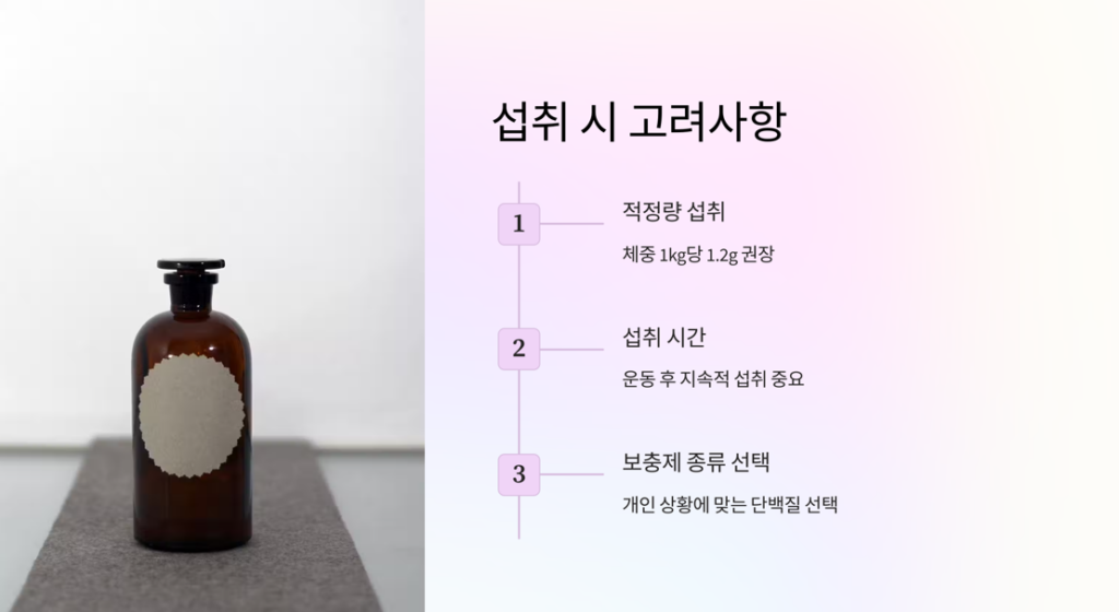 단백질 보충제가 근육 형성에 미치는 영향은?